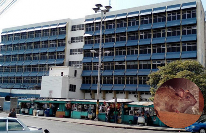 Hospital Hospital