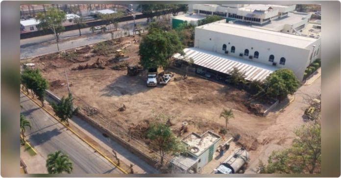 árboles árboles
