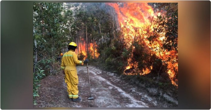 incendios incendios