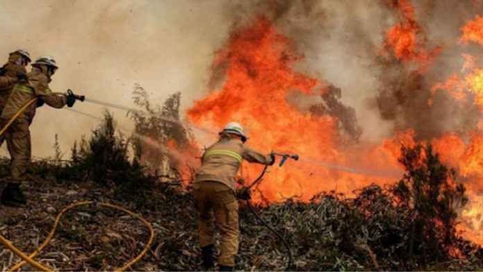 bomberos bomberos
