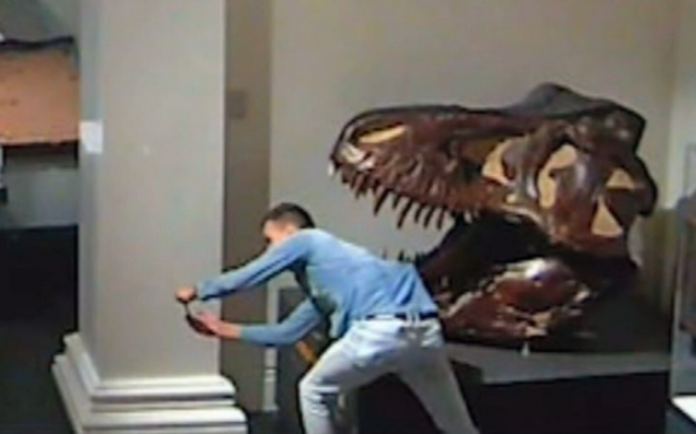 museo museo