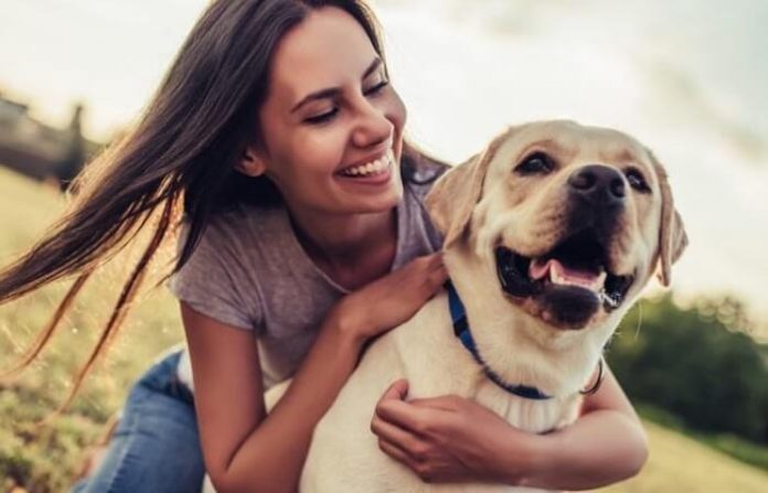 perro perro