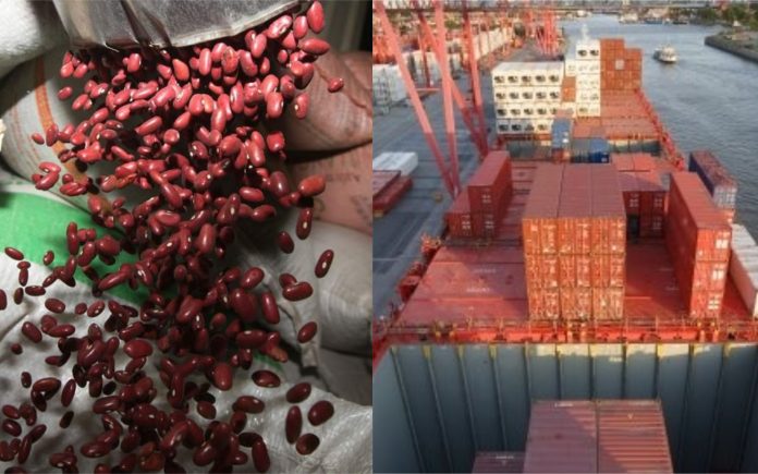 frijoles de etiopía frijoles de etiopía