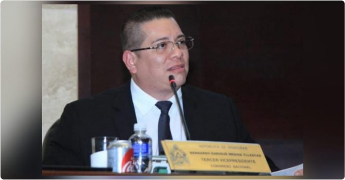 diputado diputado