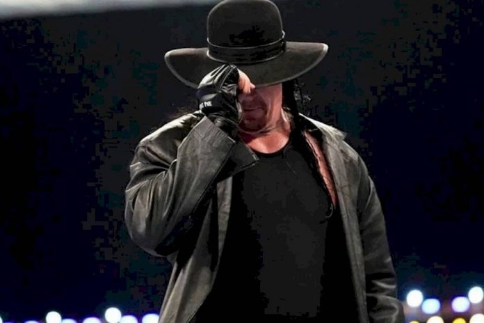 WWE WWE
