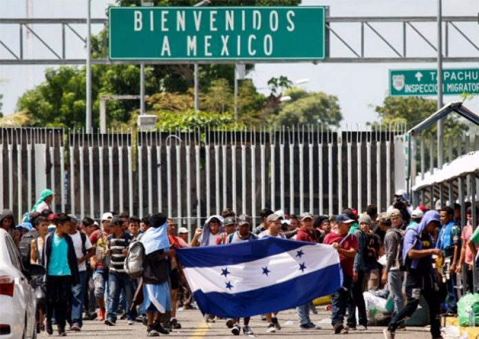 Migración Migración