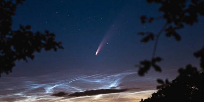 cometa NEOWISE cometa NEOWISE