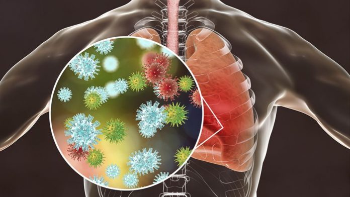 coronavirus coronavirus