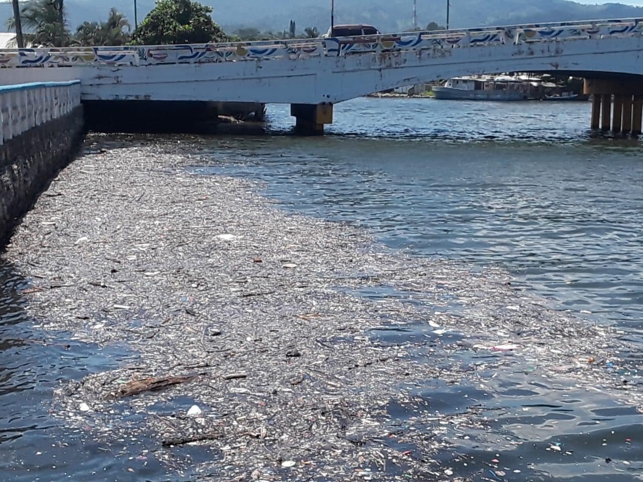 basura playas de Cortés