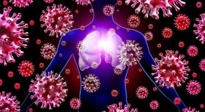 coronavirus coronavirus