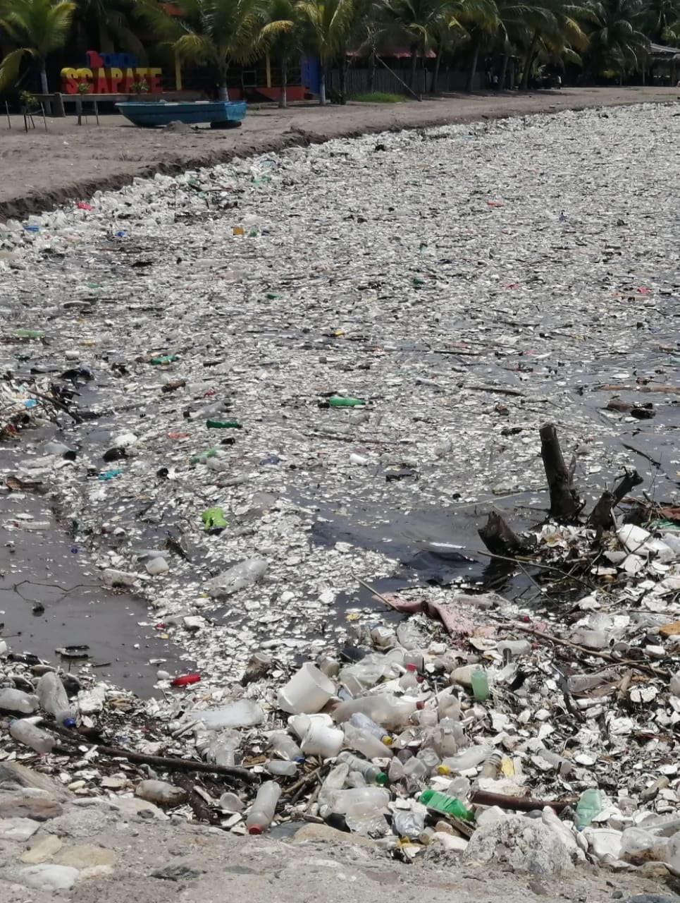 El plástico abunda en las orillas de la playa.