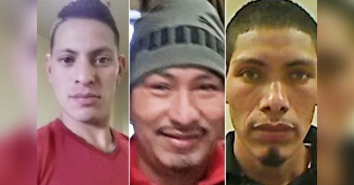 hermanos hondureños violan a niña en Estados Unidos hermanos hondureños violan a niña en Estados Unidos