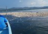 basura playas Omoa