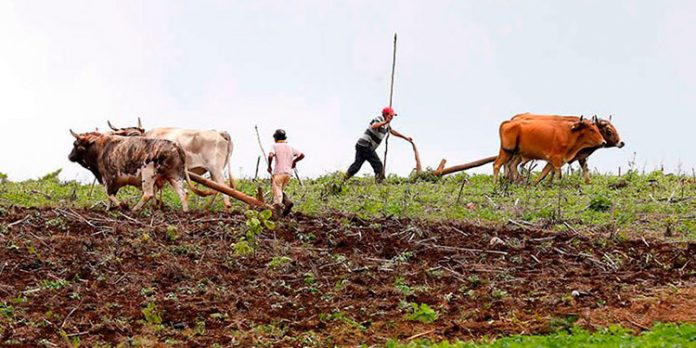 INA títulos de propiedad campesinos INA títulos de propiedad campesinos