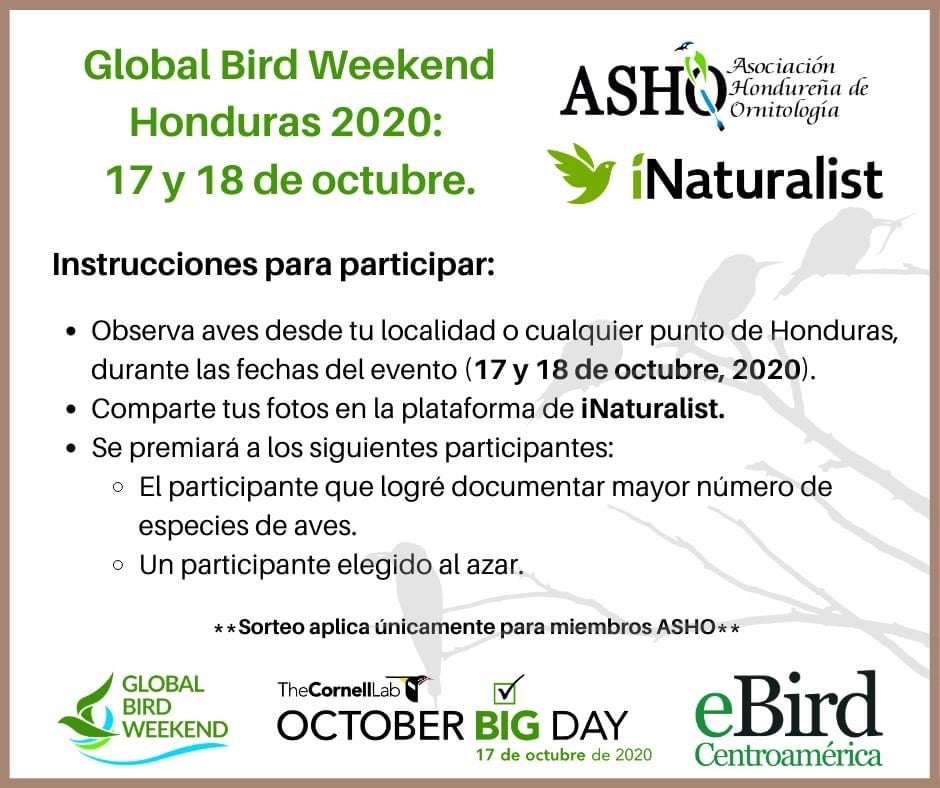 Global Bird Weekend participar