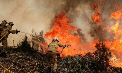 ICF incendios bosques
