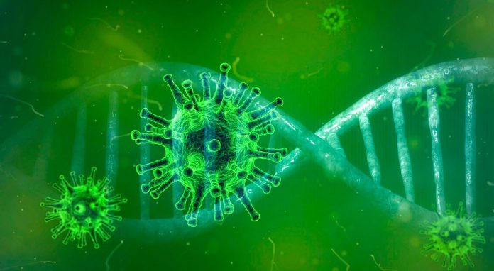 coronavirus coronavirus