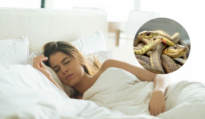soñar con serpientes