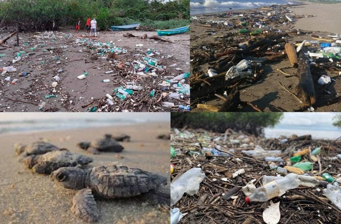 Basural tortugas golfinas Basural playas tortuga golfina