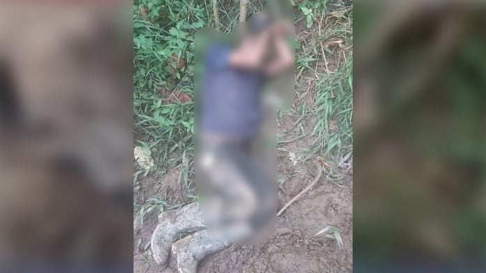 matan niño por robarle en Yoro matan niño por robarle en Yoro