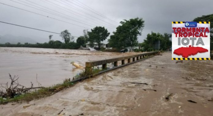 Iota honduras Iota honduras