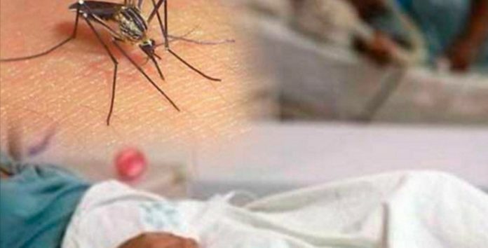 10 departamentos Honduras alerta por dengue 10 departamentos Honduras alerta por dengue