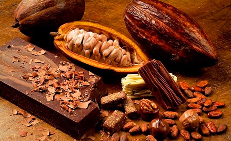 honduras concurso del cacao