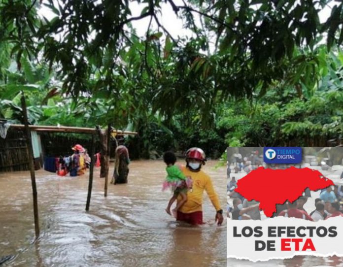 Pérdidas Yoro Eta Pérdidas Yoro Eta