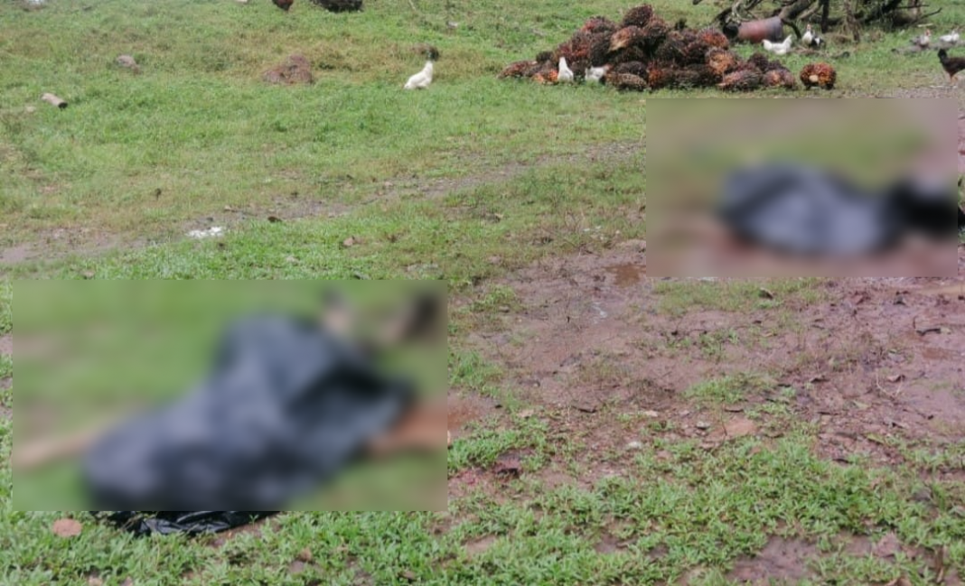 hacienda llegan a matar hombres en La Ceiba