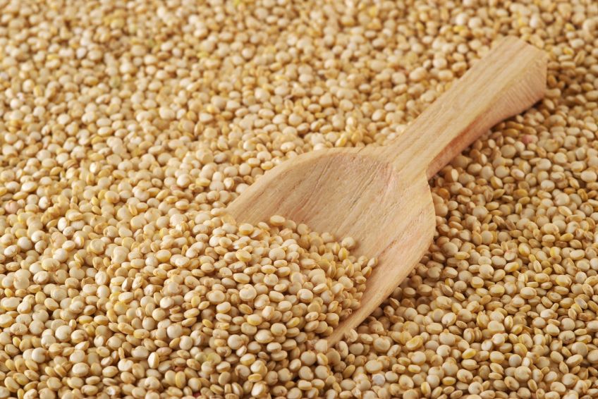 riesgo de enfermedades la quinoa