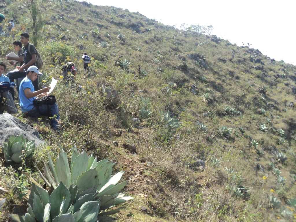 En Cerro El Pital, las temperaturas bajas son predominantes.