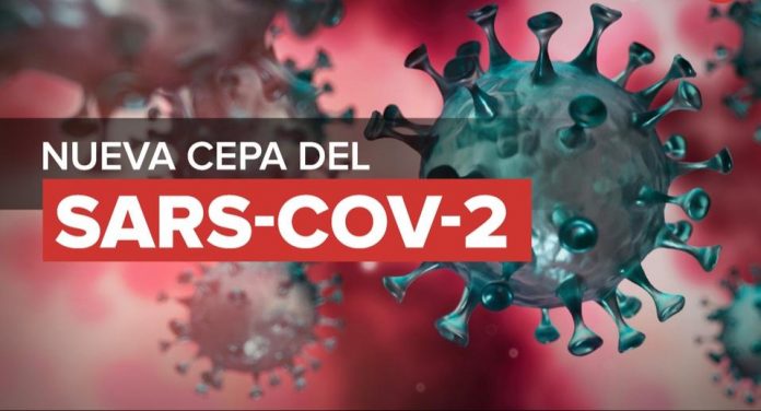 nueva cepa del covid nueva cepa del covid