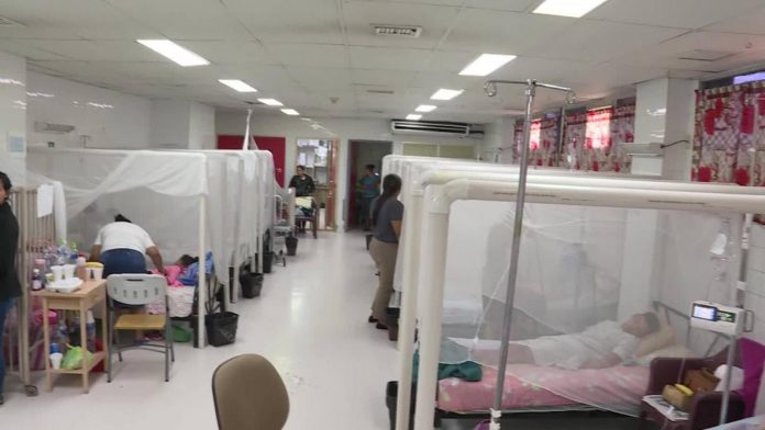 Dengue en Honduras Dengue en Honduras