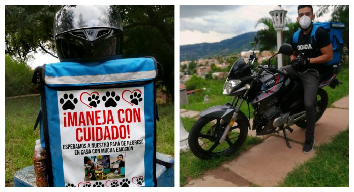 hondureño alimenta perritos de la calle hondureño alimenta perritos de la calle