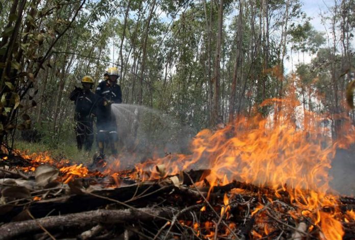 incendios forestales Honduras 2020