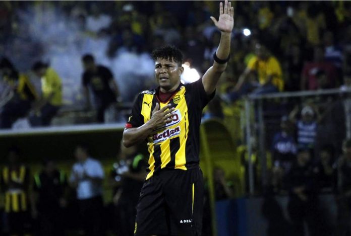 Pavón Pavón