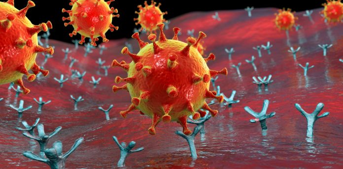 ¿Cómo afecta el COVID los pulmones? ¿Cómo afecta el COVID los pulmones?