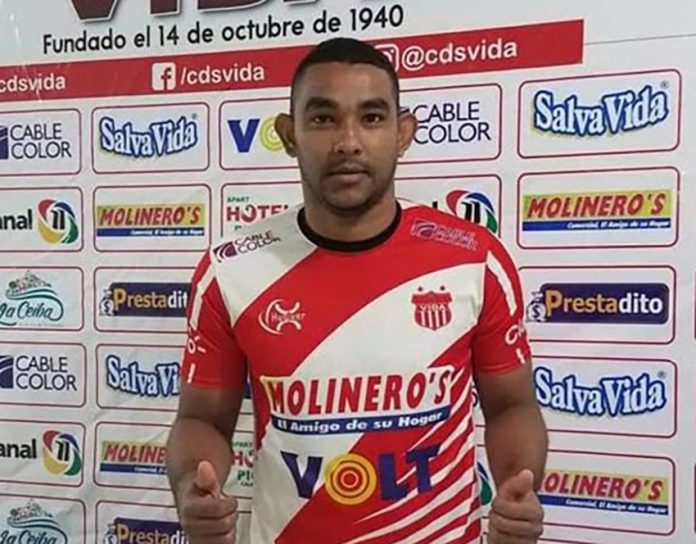 Vida Vida