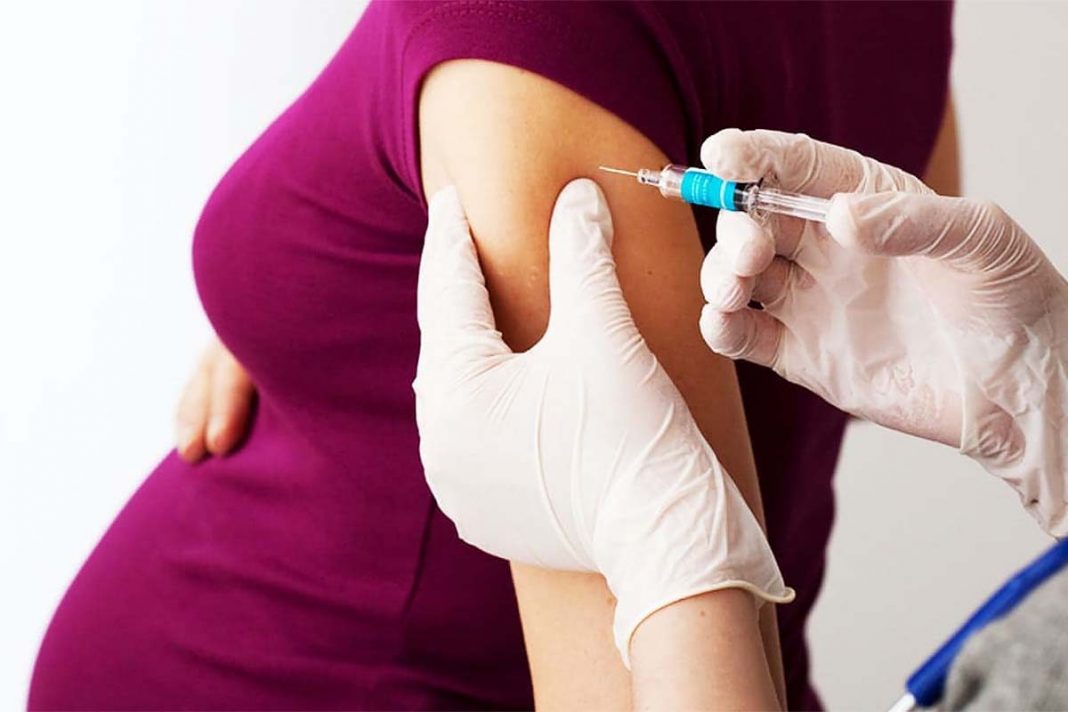 Vacunas Pfizer y Moderna protege a mujeres embarazadas y lactantes