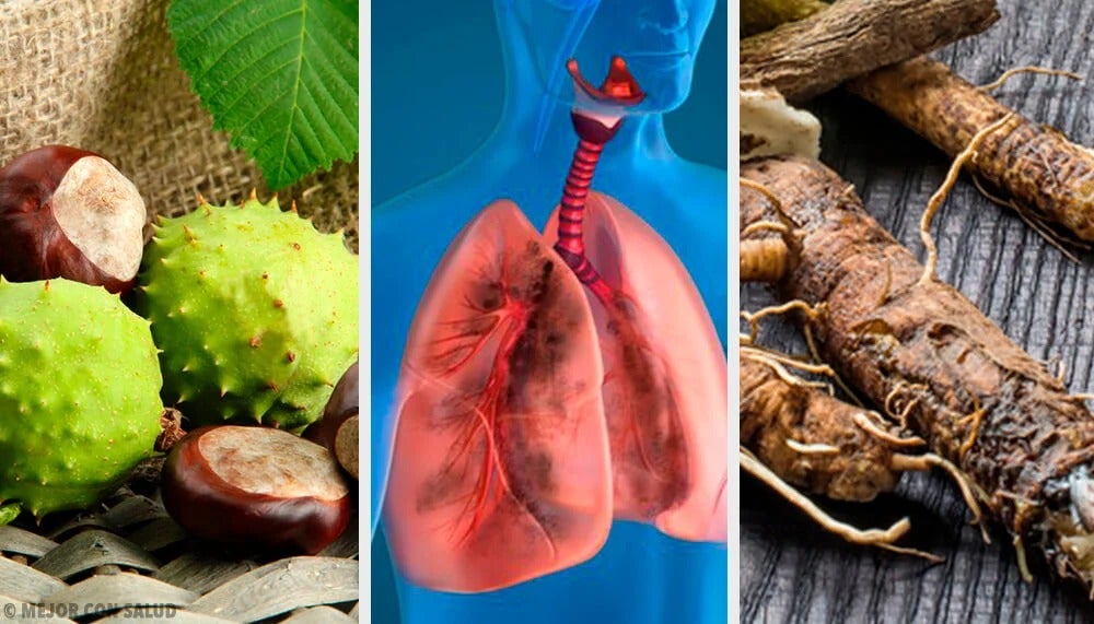 alimentos para fortalecer y limpiar los pulmones 