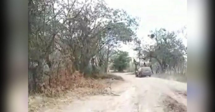 masacre familia Danlí El Paraíso masacre familia Danlí El Paraíso
