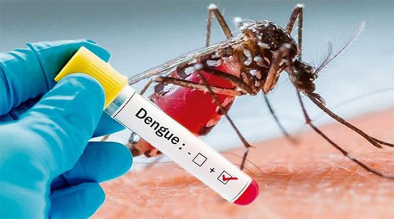 dengue en Cortés últimos datos