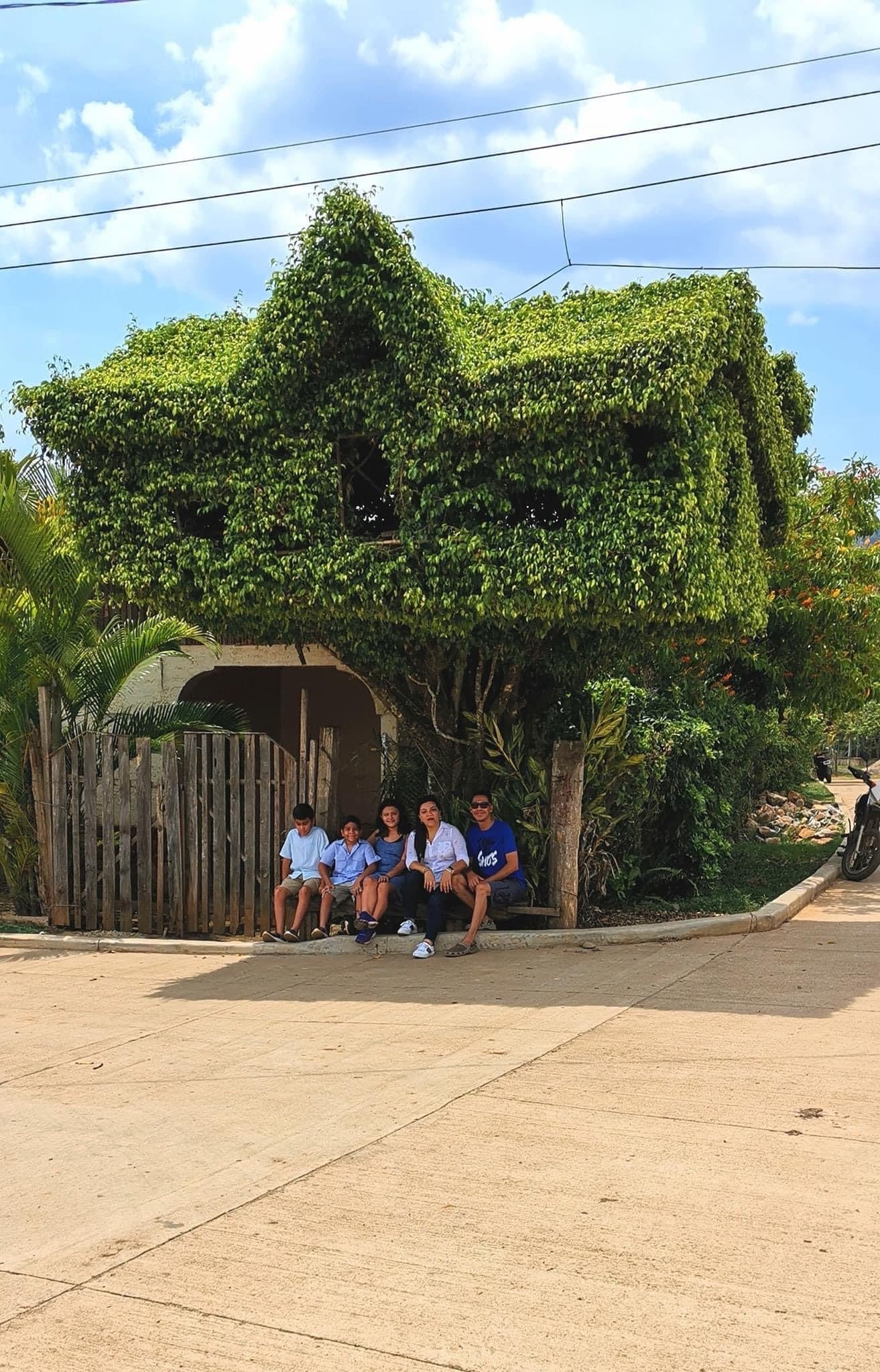 hondureño diseña casita en árbol de Yoro