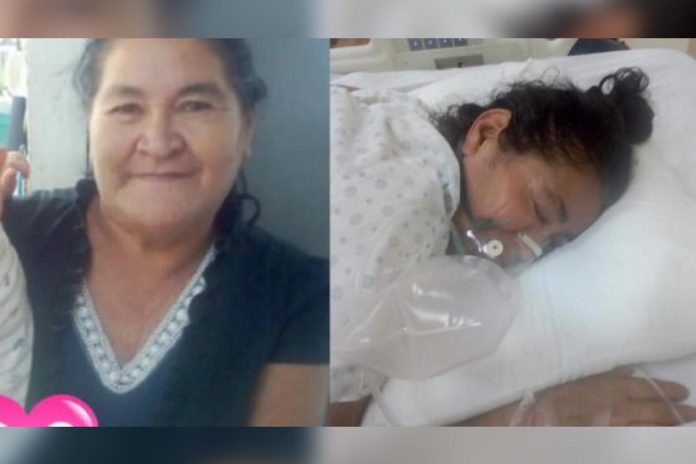 Solicitan ayuda sacar mamá clín Solicitan ayuda sacar mamá clín