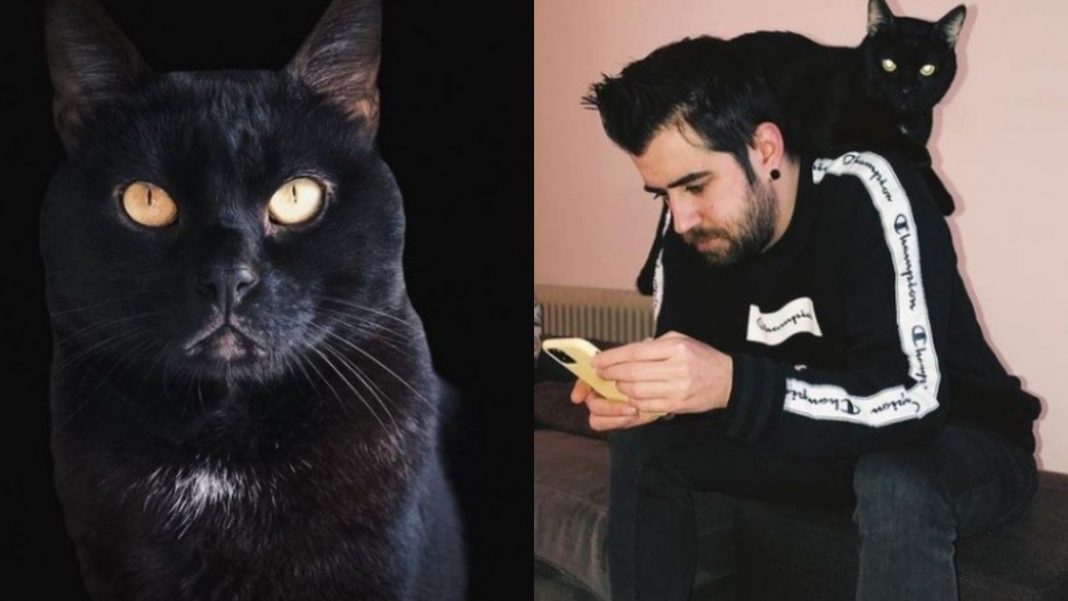 AuronPlay confirma muerte de de su gato