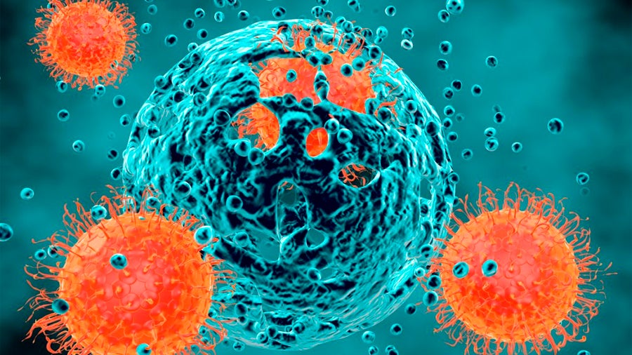 Virus modificado elimina el cáncer.