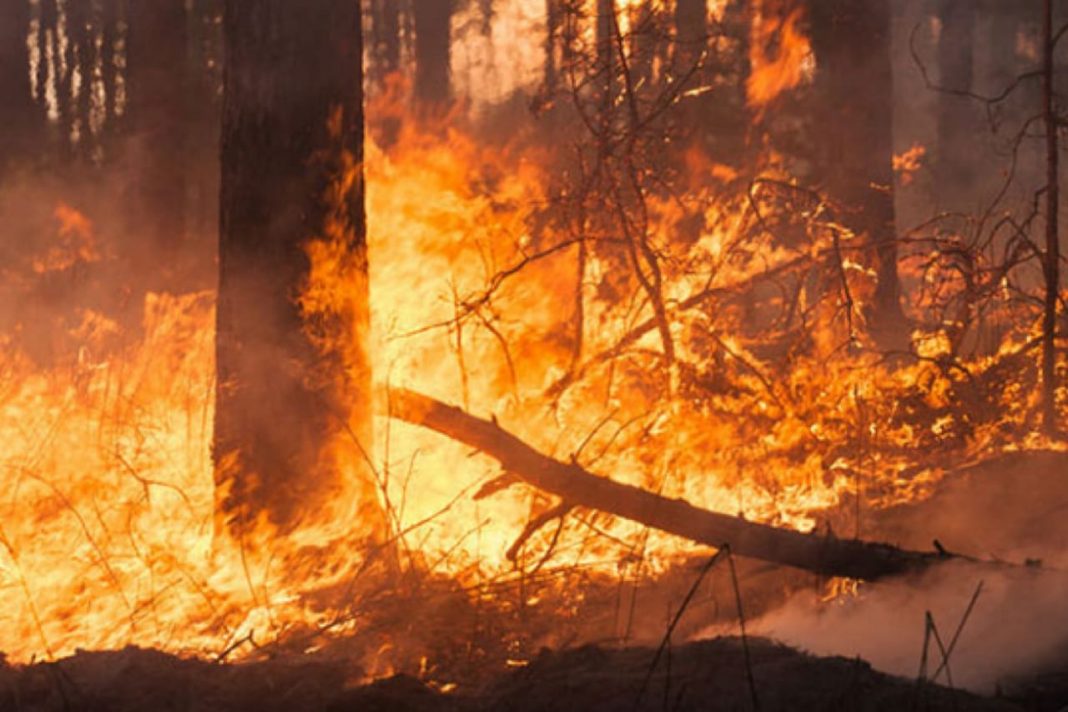 incendios forestales 2021