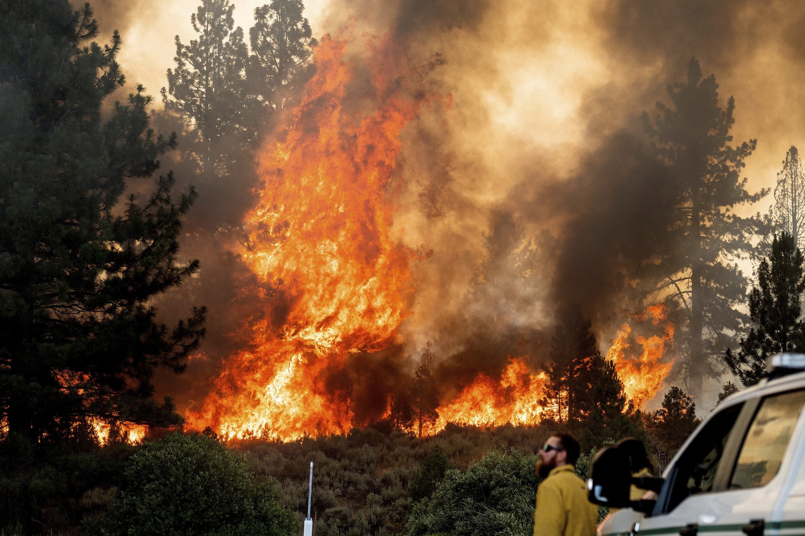 Лесной пожар в калифорнии. Лос Анджелес Лесной пожар 2020. Калифорния пожары. Пожары в Калифорнии. Пожары в Калифорнии (2018).