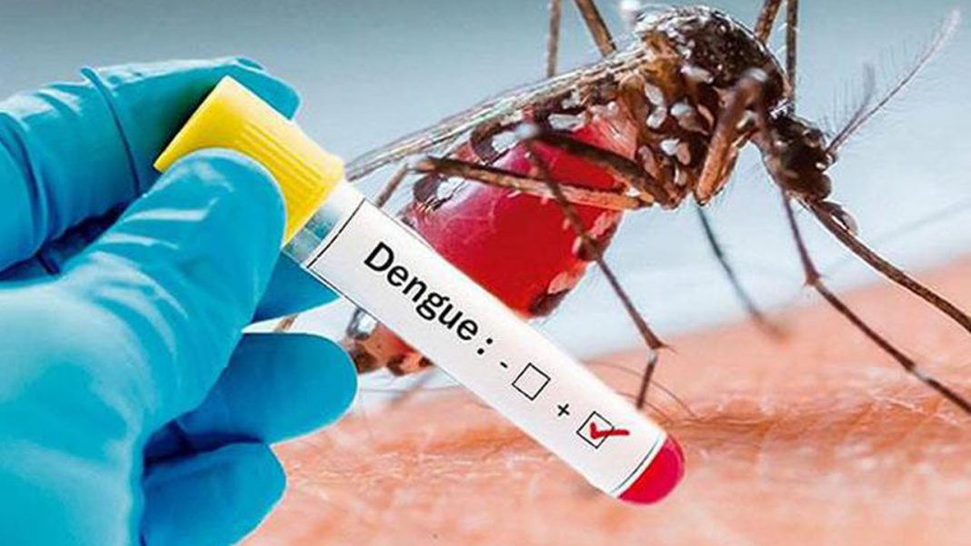 incrementan casos de dengue Cortés