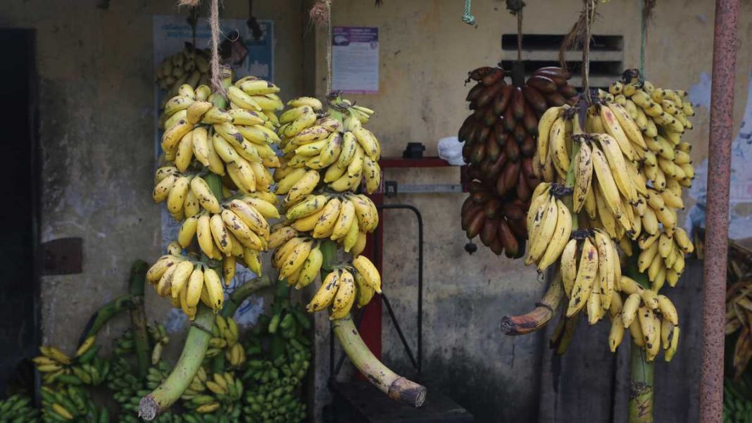 Banano beneficios para salud